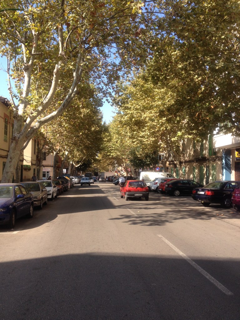 Die Carrer de l'Arquebisbe Aspáreg führt auf den Markt zu