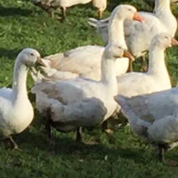 Rezepte für Herbst und Winter