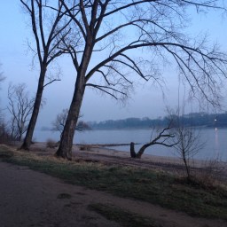 Warum ist es am Rhein so schön?