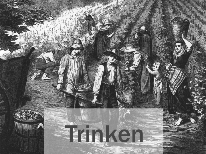 Mallorca Spezial 2018 Trinken Titel