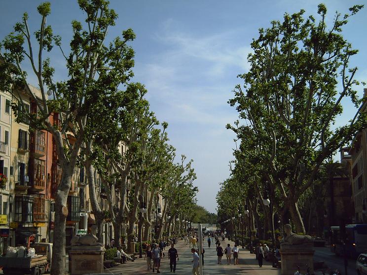 My beautiful picture