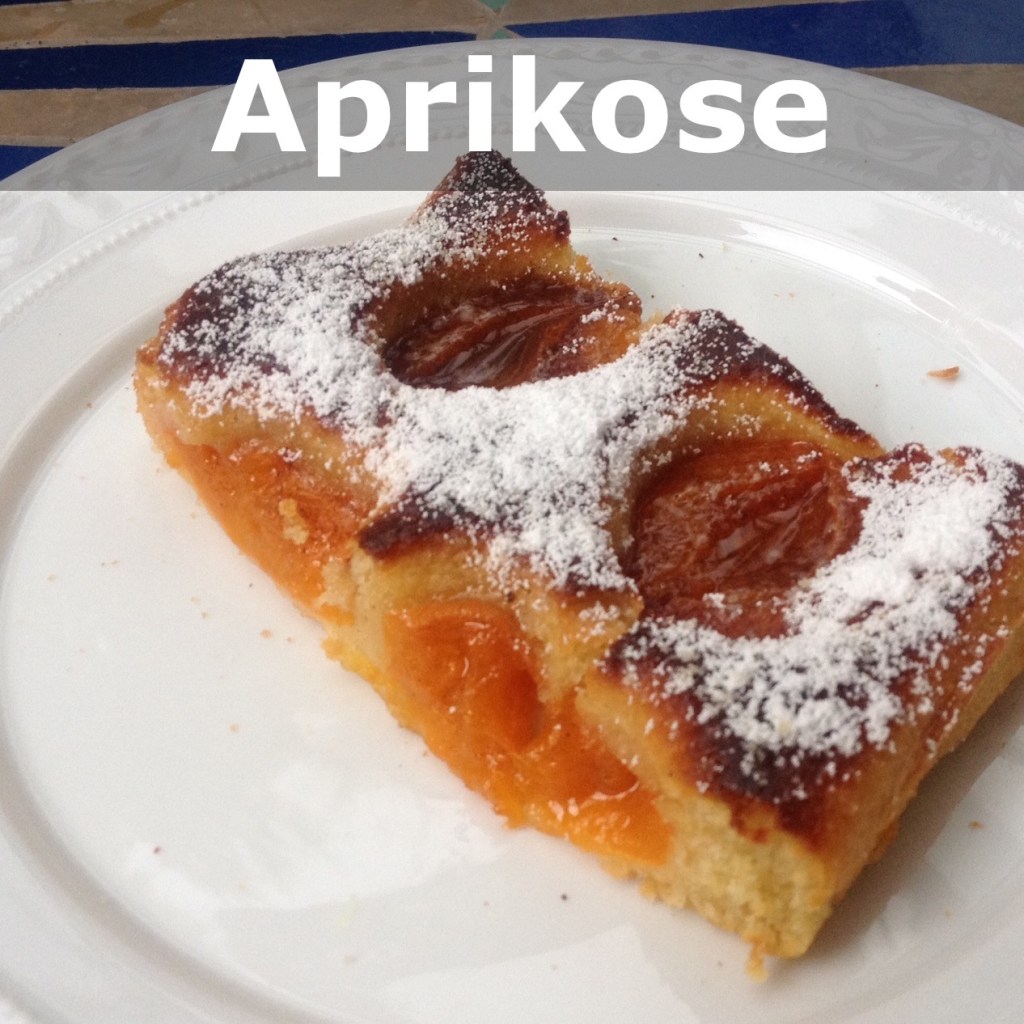 Mallorca Coca d'Albercoque