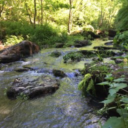 Wanderung zur Nase Napoleons