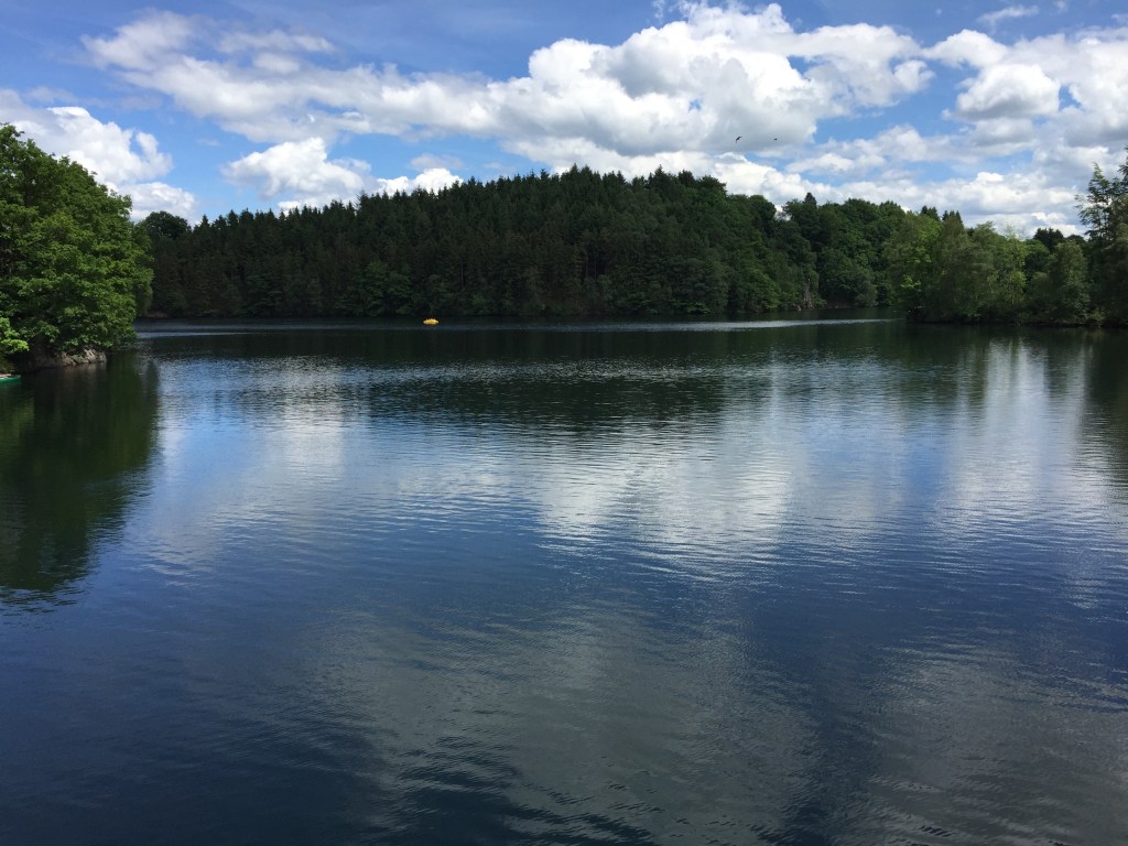 IMG_4374