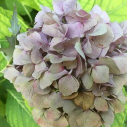 Was kochen wir im Oktober?