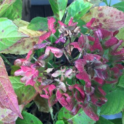 Was kochen wir im November?