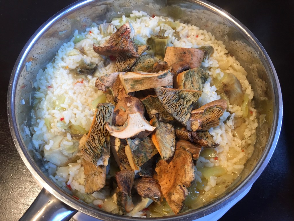 536609EE-C716-4566-9FBC-8CF4D1B6D00B_1_201_a